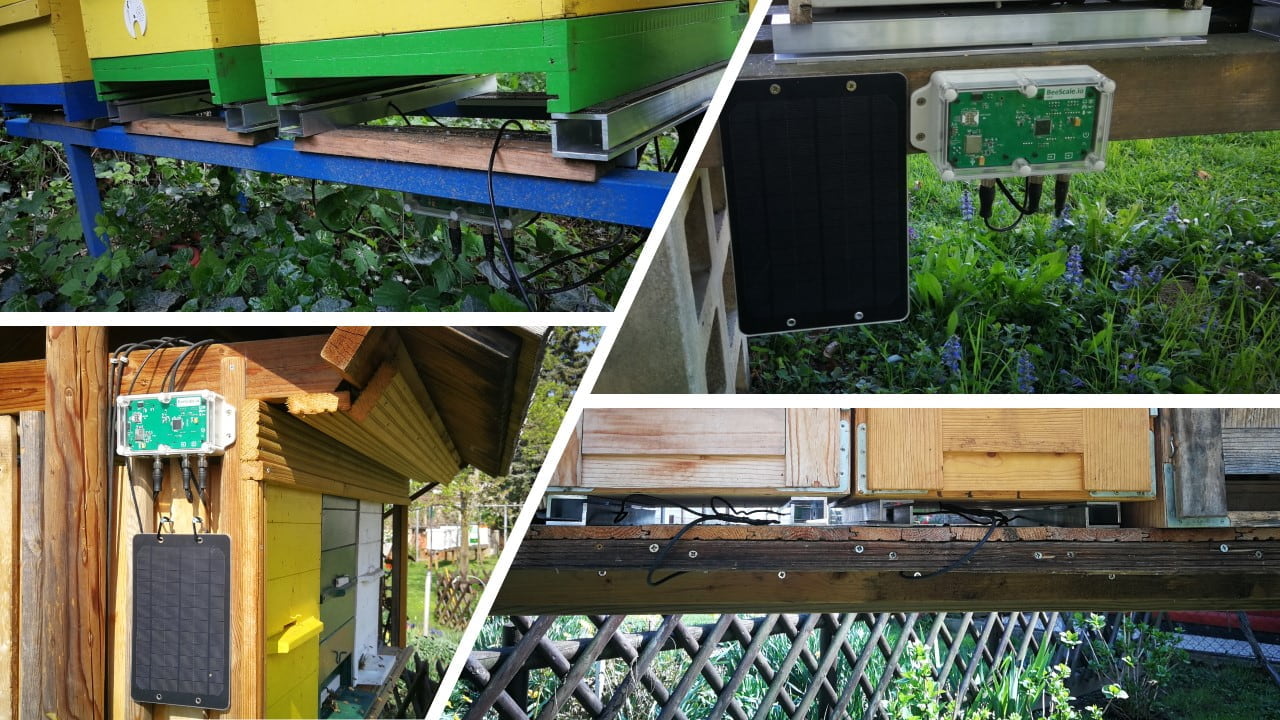 Ejemplos de montaje de la balanza para colmenas