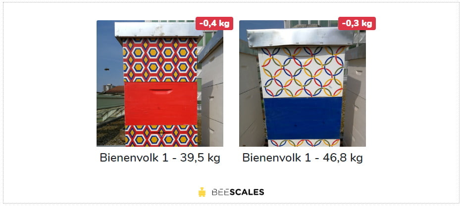 Widgets web de la báscula de colmena