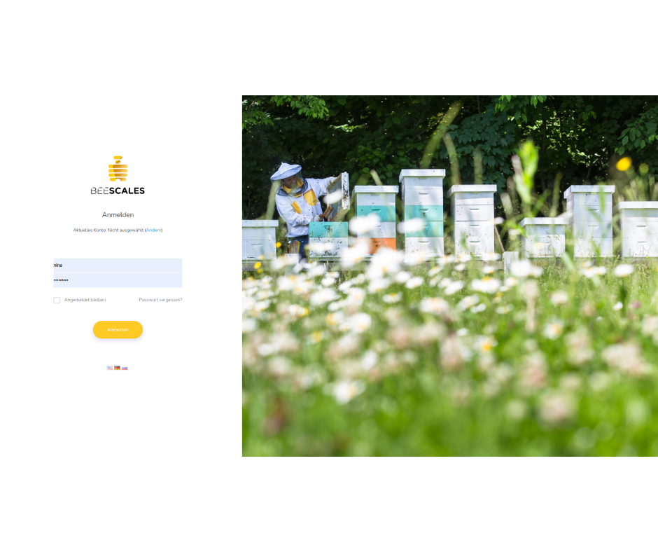 Portal web para básculas de colmenas