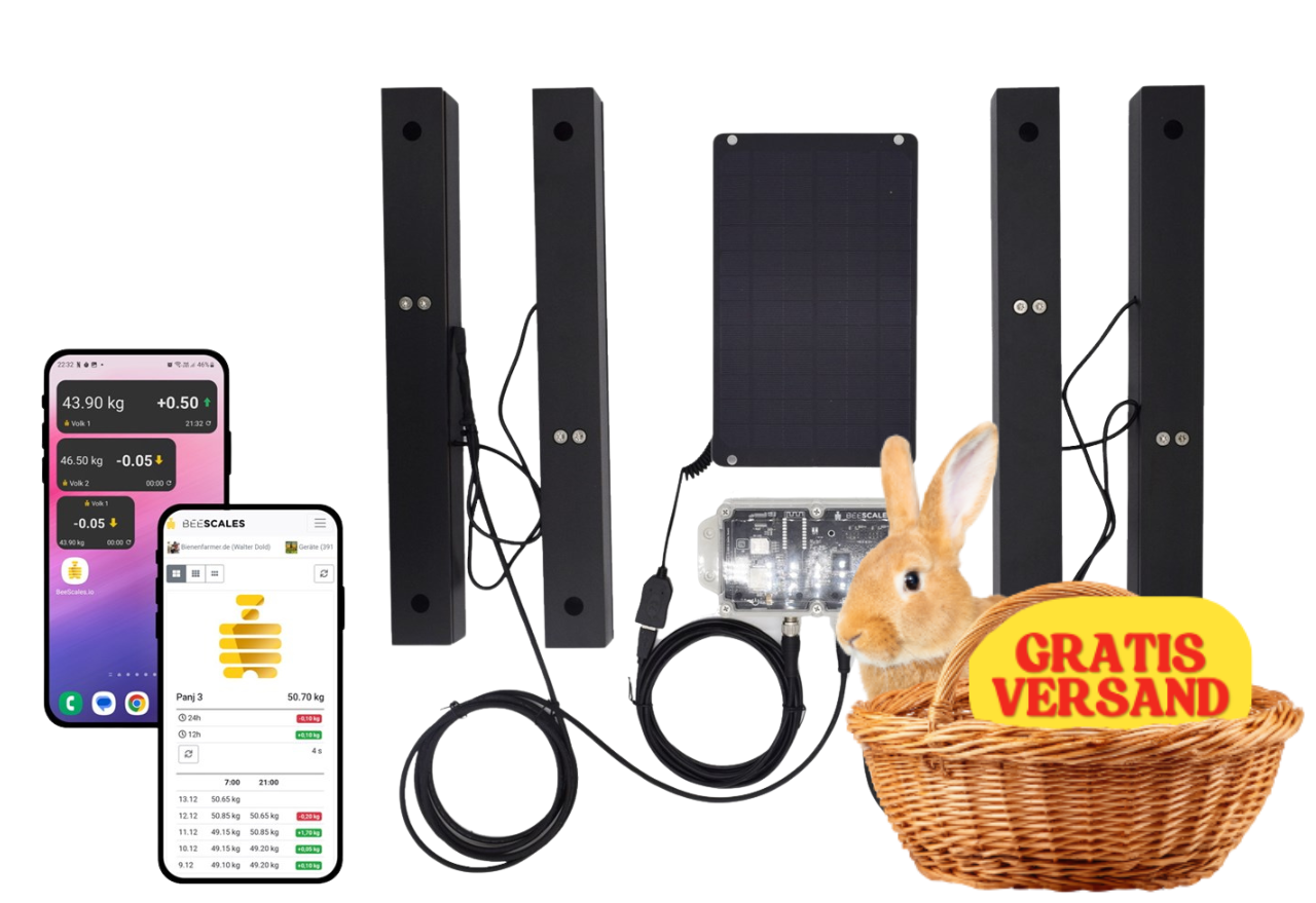 Báscula para colmenas para monitorizar dos colmenas + GPS y alarma antirrobo, 4G NB-IoT