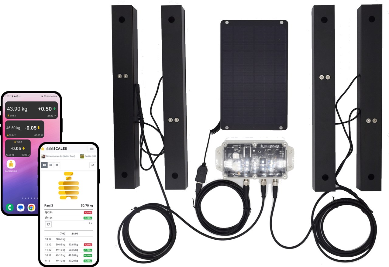 Balanzas para colmenas & balanzas para apicultores